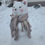 615530784 34529178720014609 71223856945306818 n